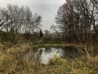 Chýnov | Park u rybníka
